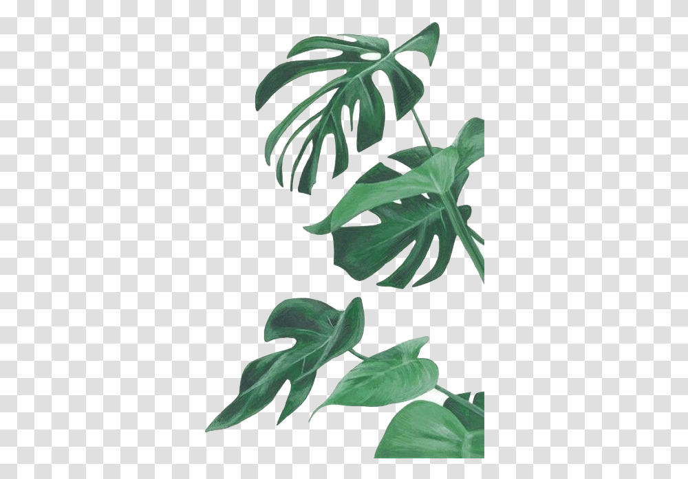 Download Botany Leaf Painting Leaves Illustration Watercolor Botanical, Plant, Flower, Fern, Vegetation Transparent Png