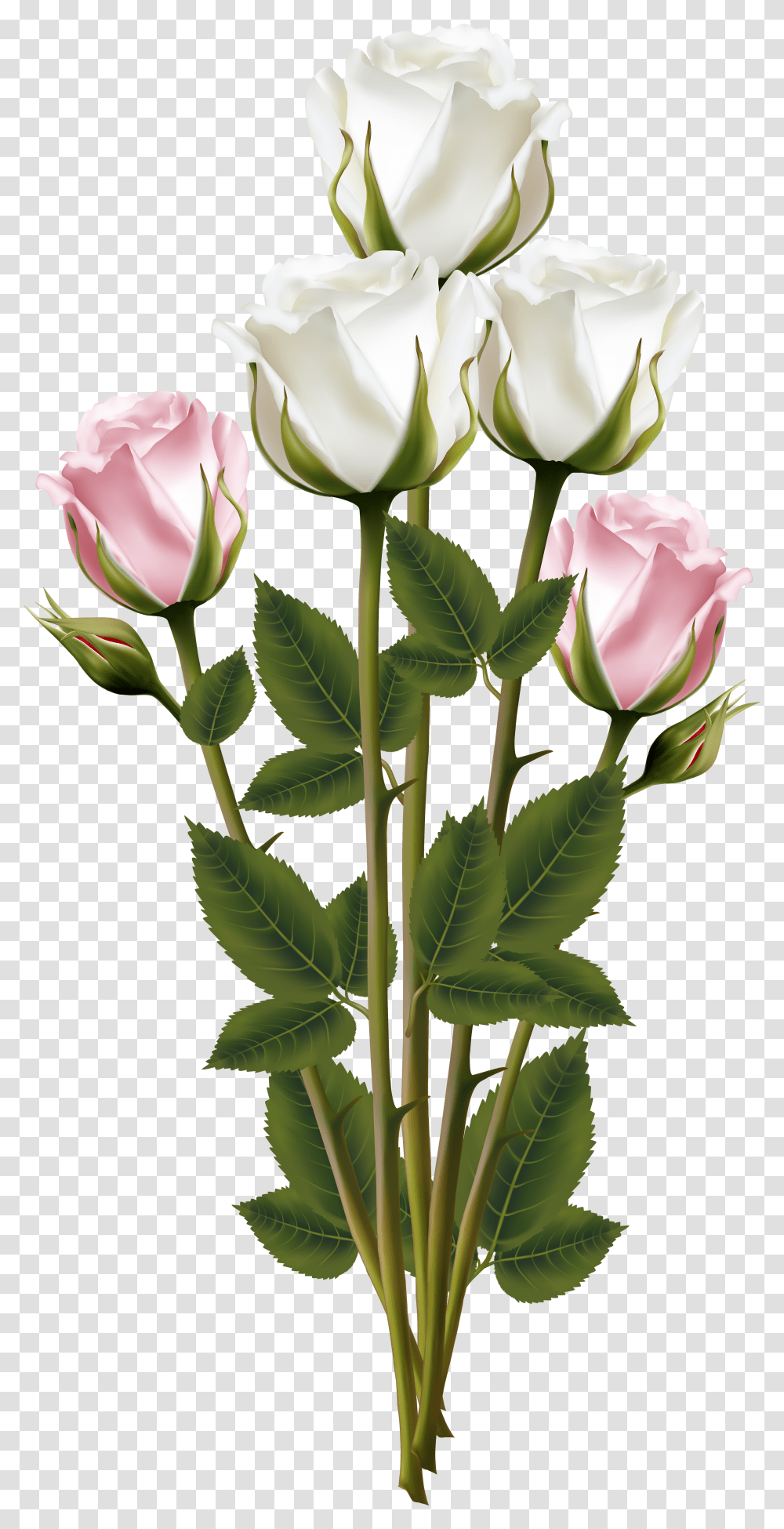 Download Bouquet Rose Pink Flower Plant Free Image Rose Flower Bouquet Background Transparent Png