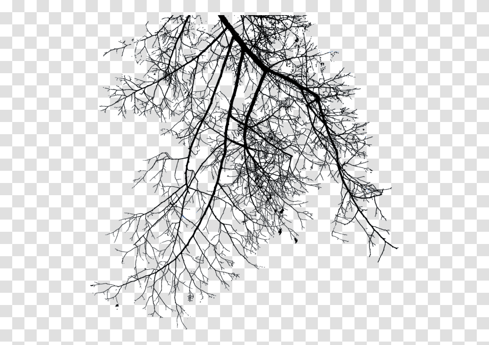 Download Branch File Winter Tree Branch, Nature, Outdoors, Night, Outer Space Transparent Png