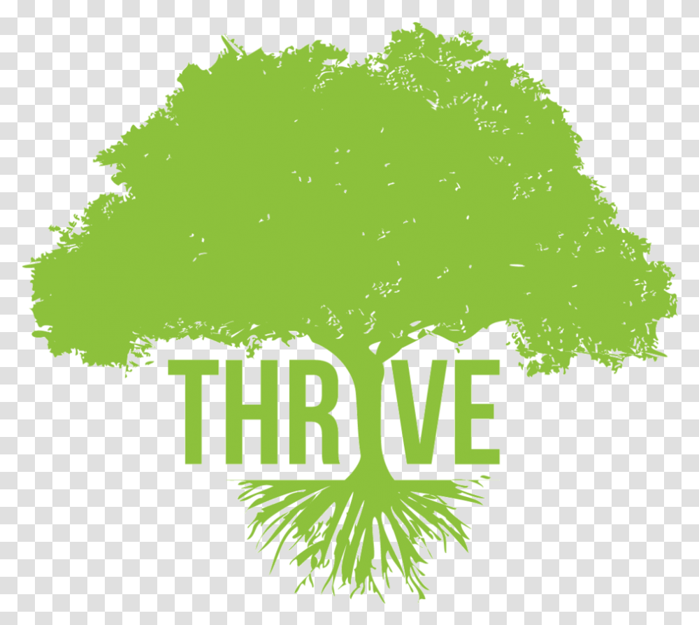Download Breaking Bad Logo Thrive Tree, Plant, Leaf, Vegetation, Green Transparent Png