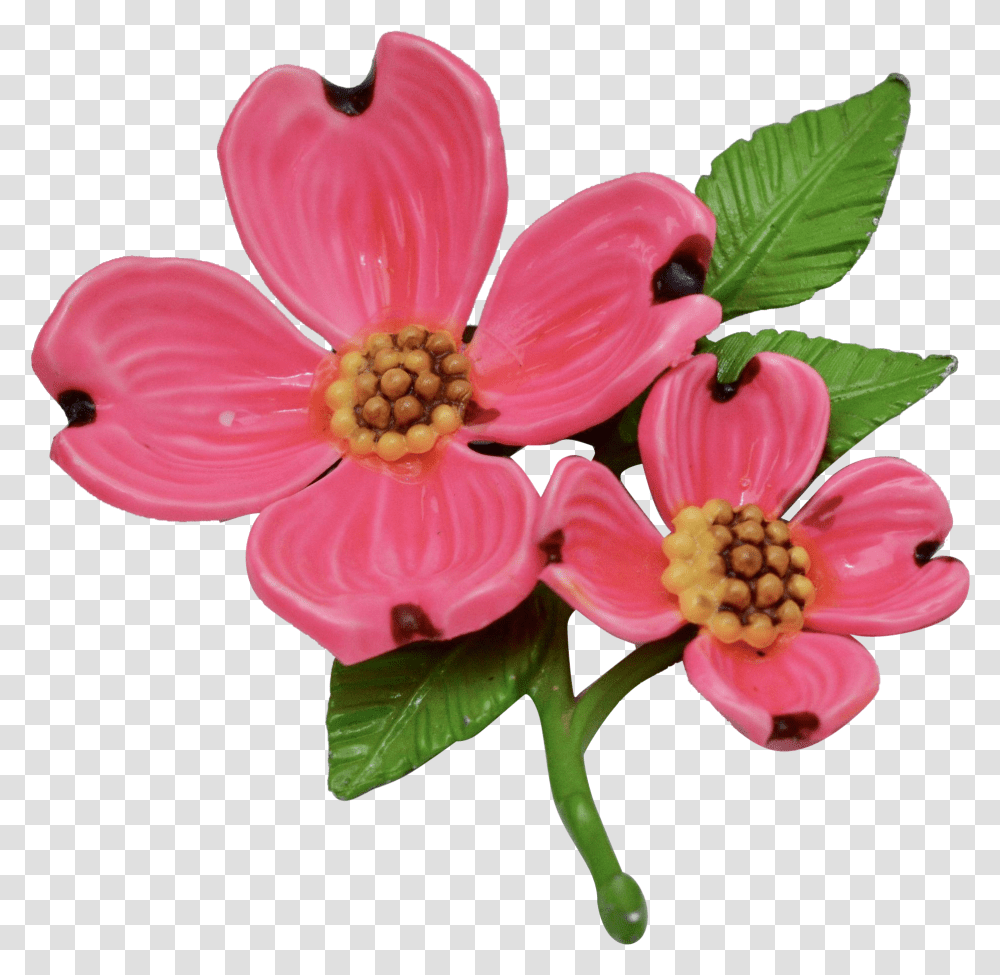 Download Bright Pink Enamel Dogwood Pink Dogwood Flower, Plant, Pollen, Blossom, Petal Transparent Png