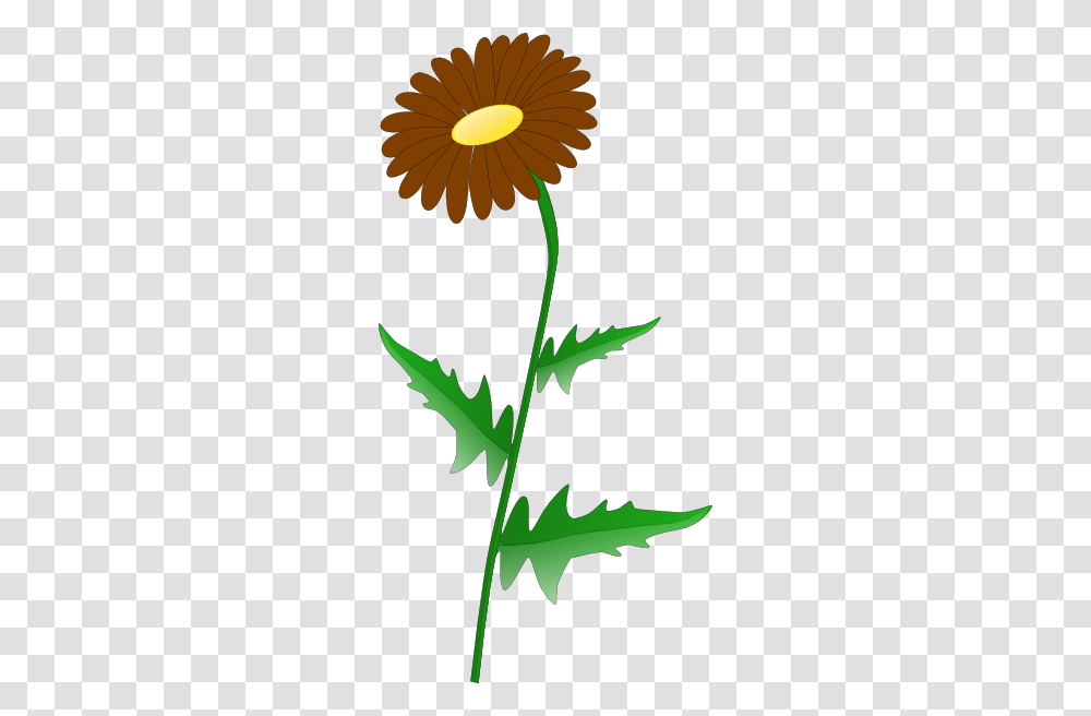 Download Brown Daisy Clipart, Plant, Flower, Leaf, Anther Transparent Png