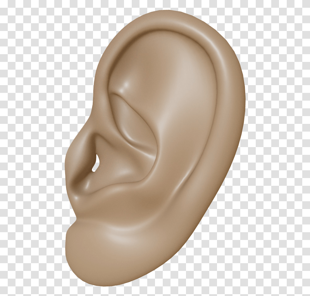 Download Brown Ears, Toilet, Bathroom, Indoors Transparent Png