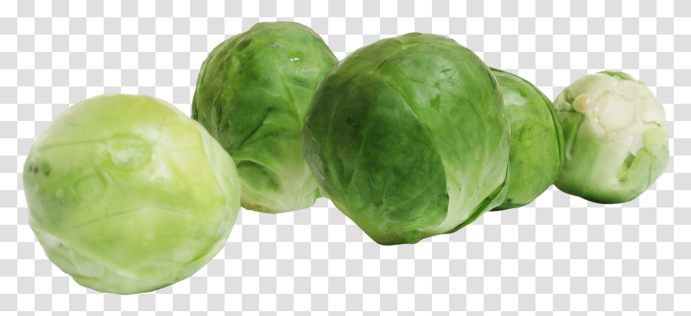 Download Brussels Sprouts Image For Free Brussel Sprouts Clipart, Plant, Cabbage, Vegetable, Food Transparent Png