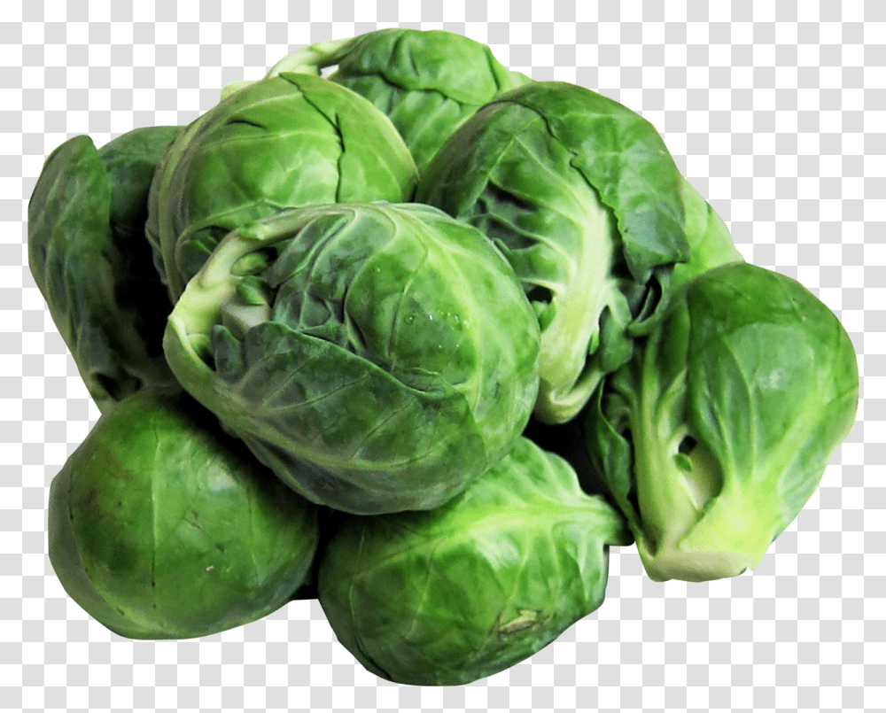 Download Brussels Sprouts Image For Free Brussels Sprouts Clipart, Plant, Cabbage, Vegetable, Food Transparent Png