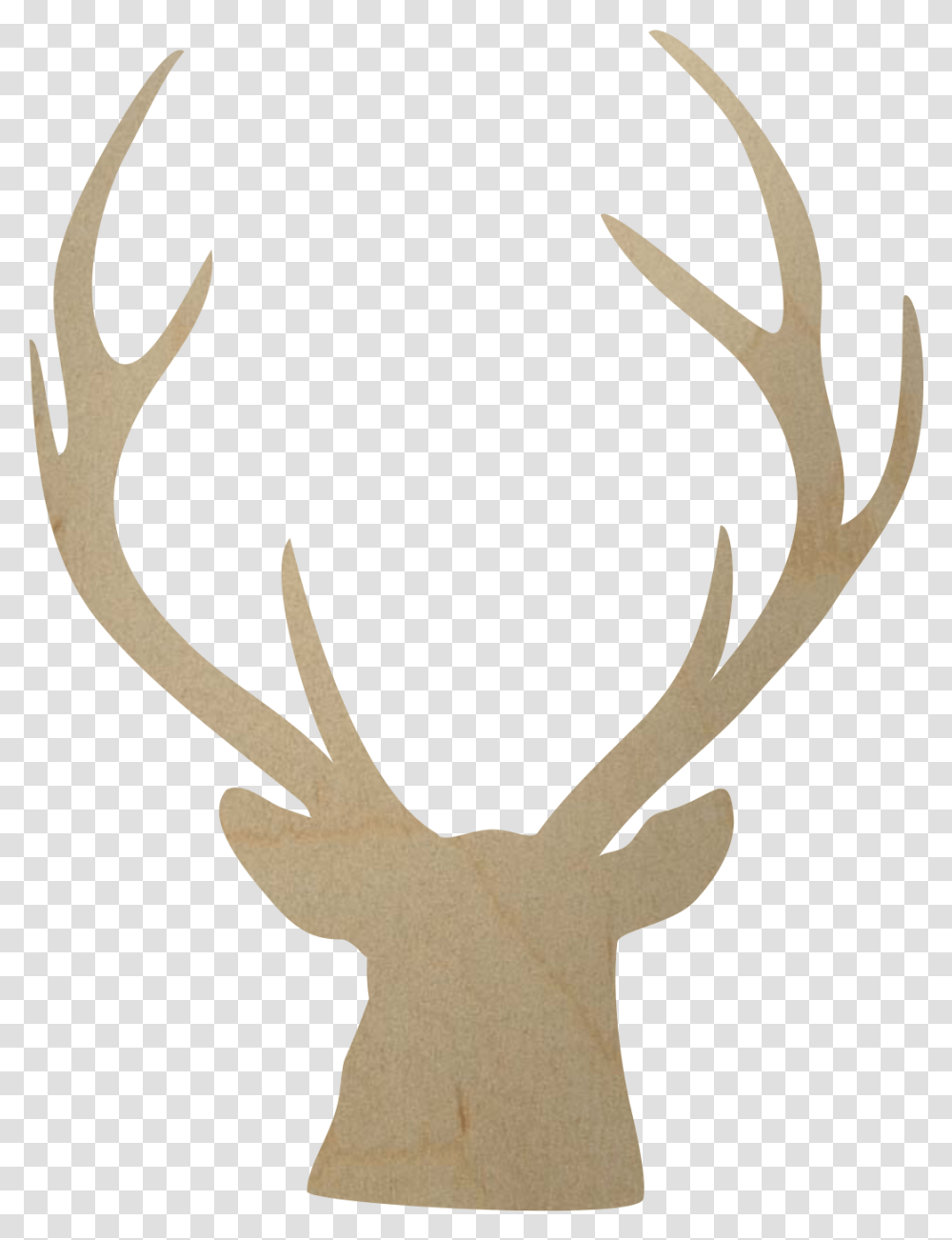 Download Buck Head Image Free Deer Antlers And Bird Transparent Png