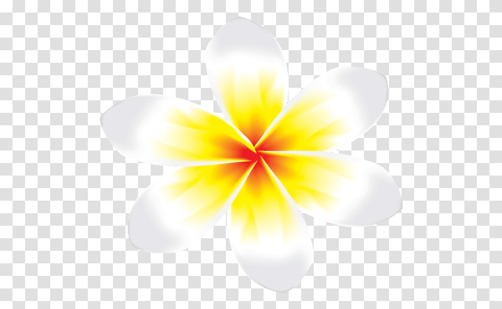 Download Bunga Kamboja Logo Bunga Jepun, Lamp, Petal, Flower, Plant Transparent Png