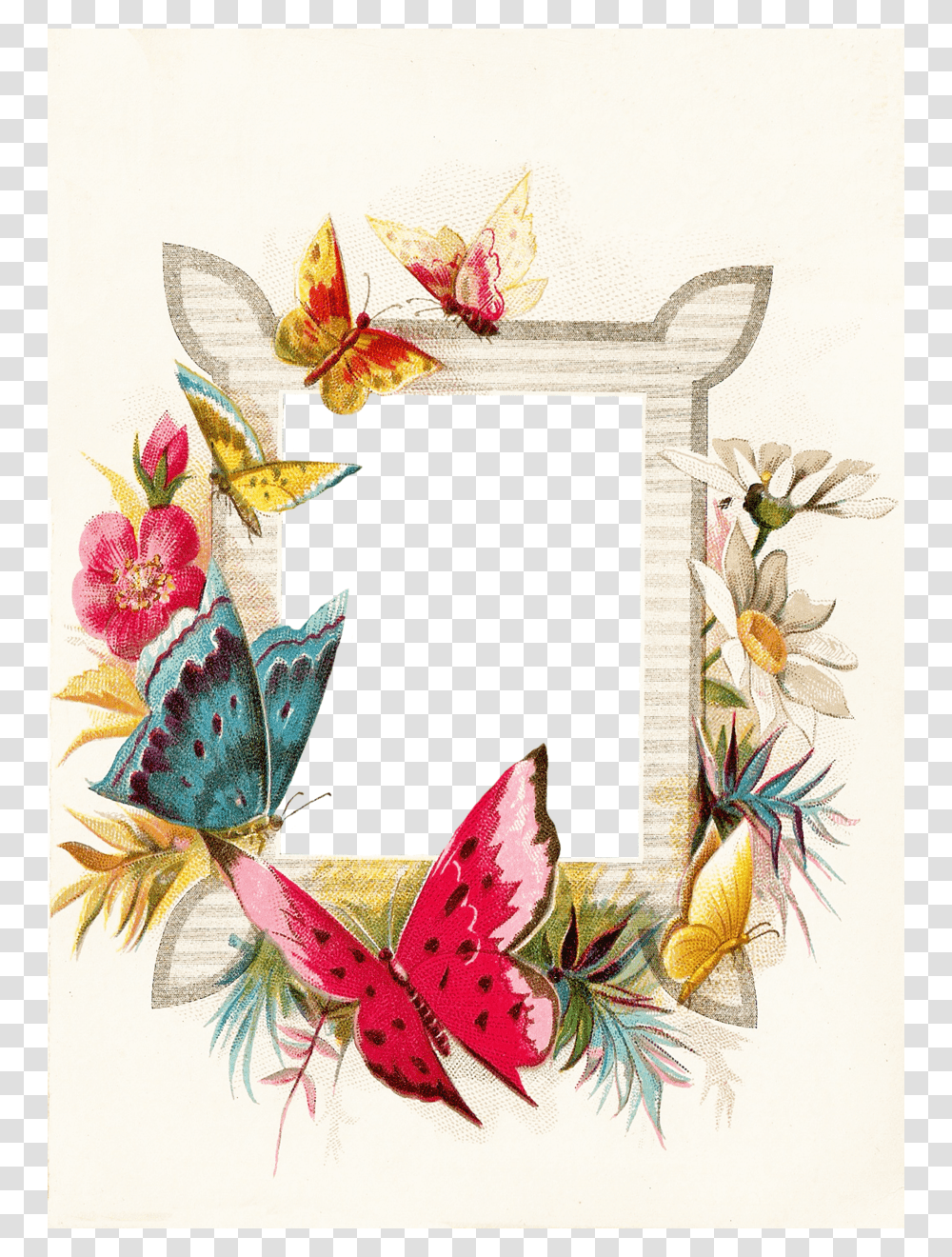 Download Butterfly Borders And Frames Clipart Butterfly, Floral Design, Pattern Transparent Png
