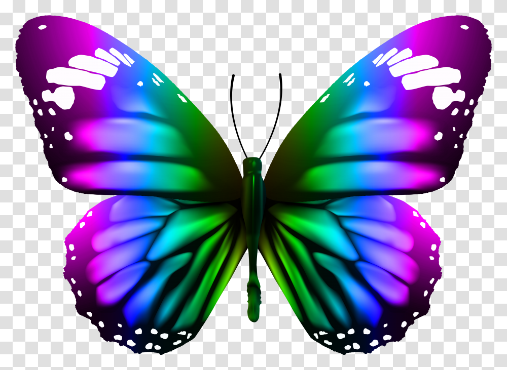 Download Butterfly Clipart Photo Top Monarch Butterfly Transparent Png