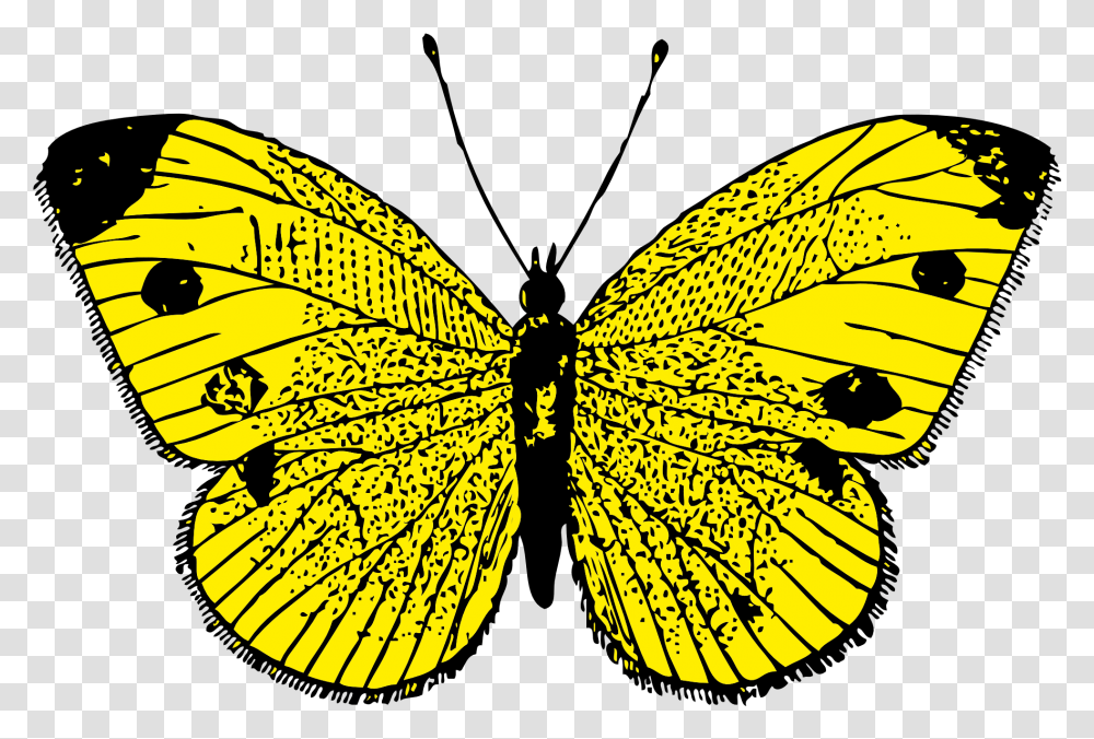 Download Butterfly Image For Free Yellow Butterfly Cliparts, Insect, Invertebrate, Animal, Monarch Transparent Png