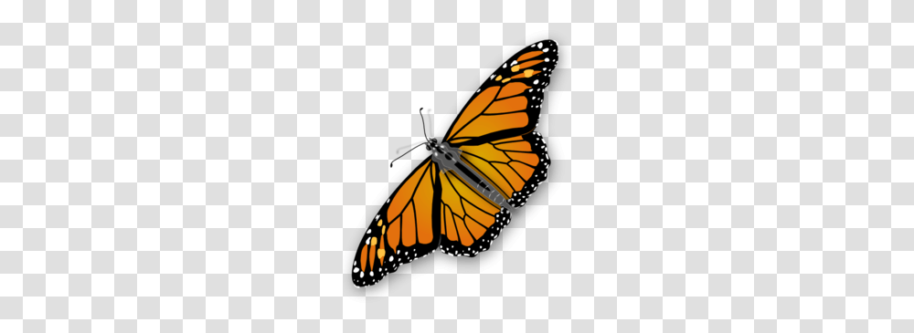 Download Butterfly No Background Clipart Butterfly Clip Art, Monarch, Insect, Invertebrate Transparent Png