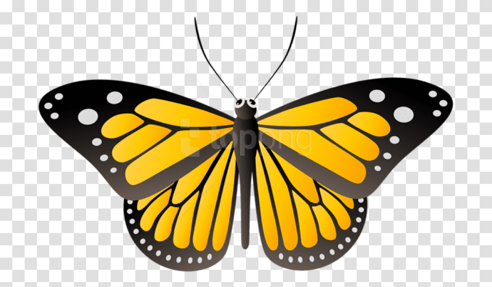 Download Butterfly Yellow Clipart Yellow Butterfly, Insect, Invertebrate, Animal, Monarch Transparent Png