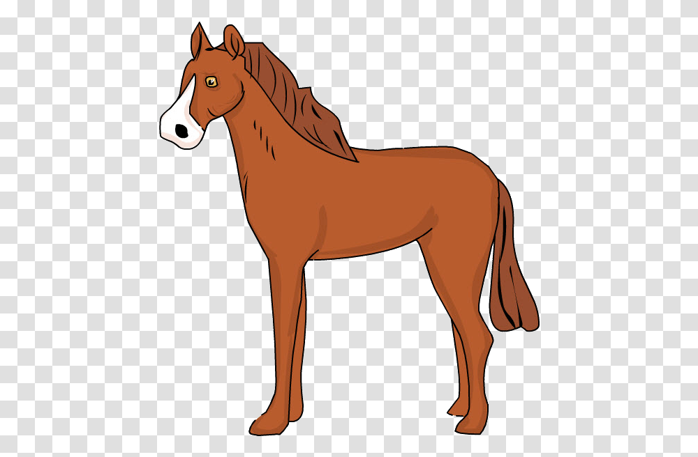 Download Caballo Image With No Caballo, Horse, Mammal, Animal, Colt Horse Transparent Png