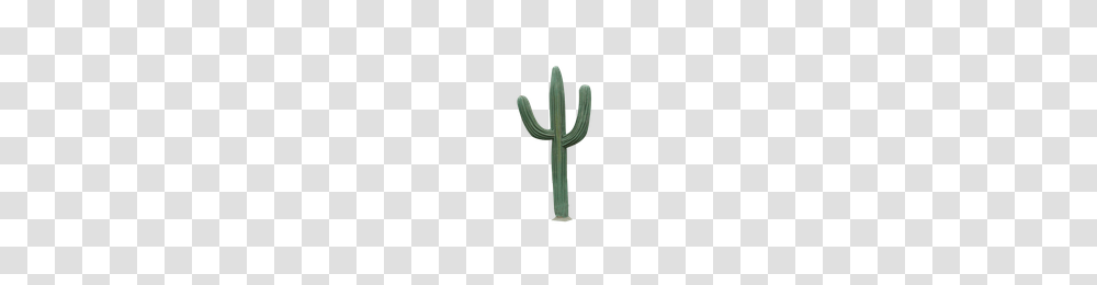 Download Cactus Free Photo Images And Clipart Freepngimg, Plant, Cross Transparent Png