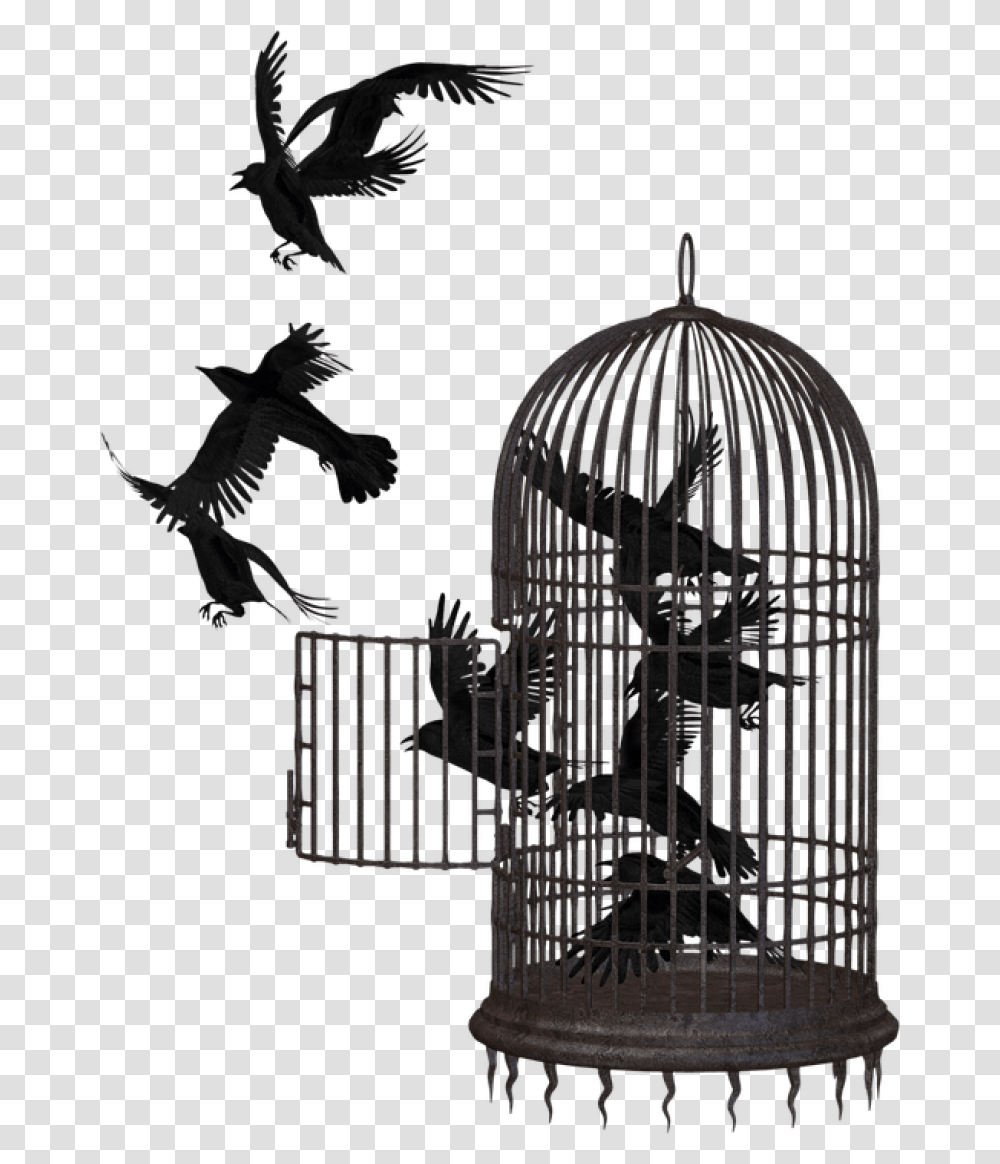 Download Cage Bird Crow Image For Free Bird In A Cage, Animal, Gate, Chime, Musical Instrument Transparent Png