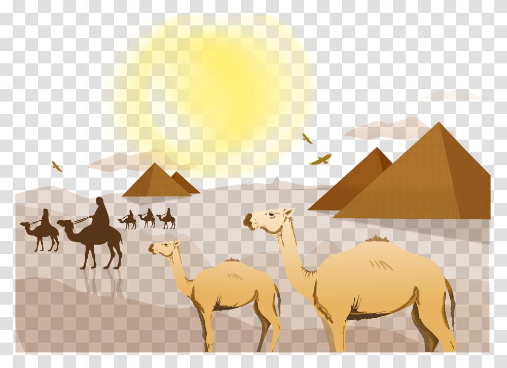 Download Camel Vector Sahara Desert, Mammal, Animal, Antelope, Wildlife Transparent Png
