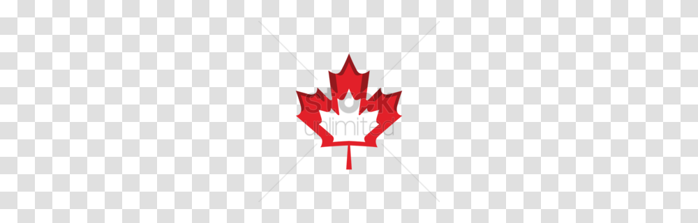 Download Canadian English Clipart Flag Of Canada Maple Leaf, Plant, Dynamite, Bomb, Weapon Transparent Png