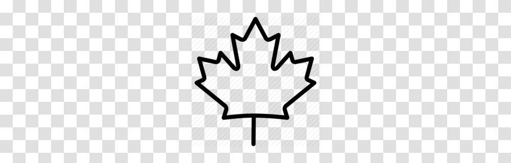 Download Canadian Maple Leaf Outline Clipart Canada Maple Leaf, Plant, Utility Pole, Tree Transparent Png