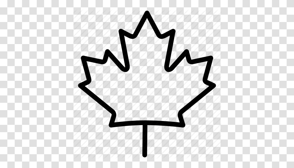 Download Canadian Maple Leaf Outline Clipart Canada Maple Leaf, Plot, Silhouette Transparent Png
