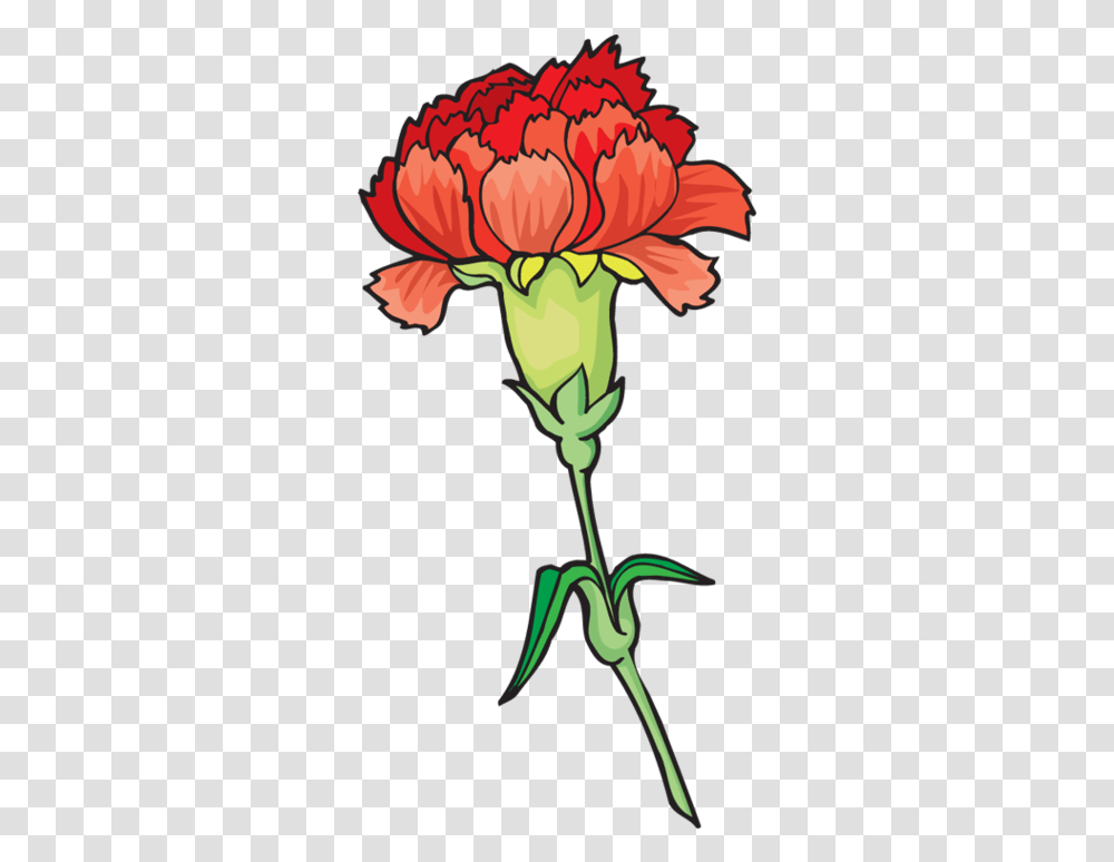 Download Carnation Flower Clipart Carnation Clipart Full Clip Art Red Carnation, Plant, Blossom, Petal, Dahlia Transparent Png