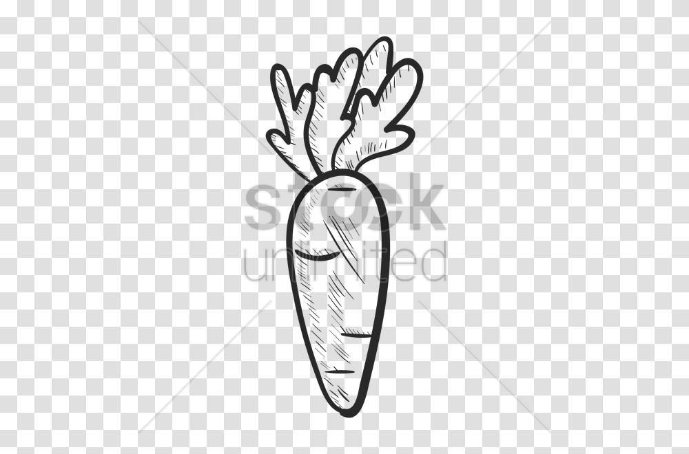 Download Carrot Clipart Line Art Drawing Clip Art Clipart Free, Bow, Logo Transparent Png