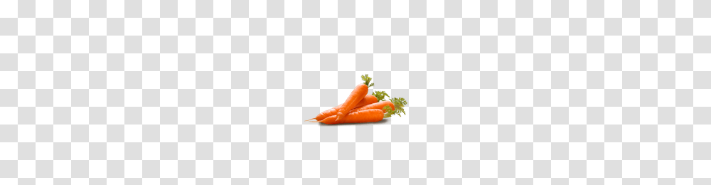 Download Carrot Free Photo Images And Clipart Freepngimg, Plant, Vegetable, Food Transparent Png