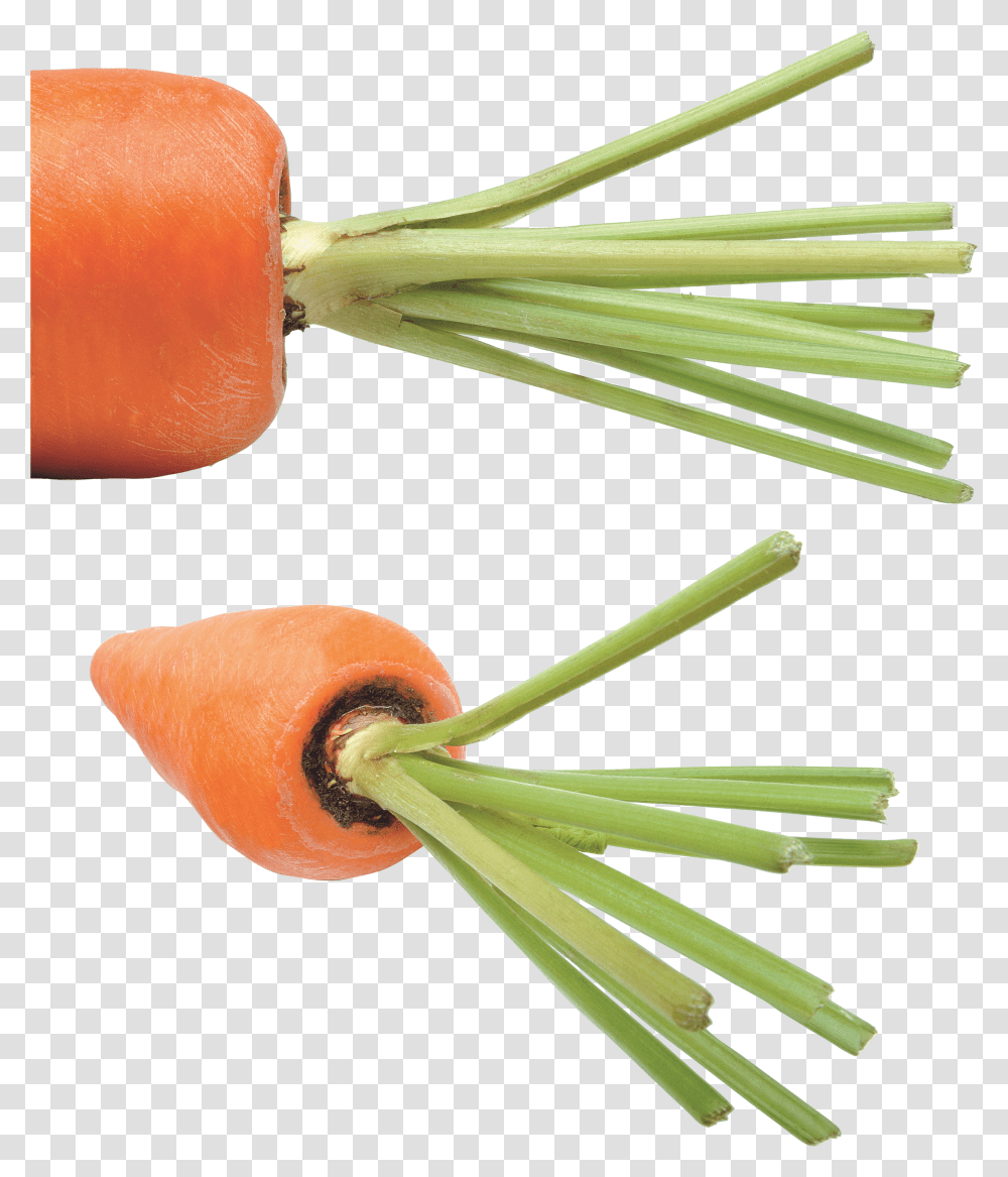 Download Carrot Image For Free Carrot Transparent Png