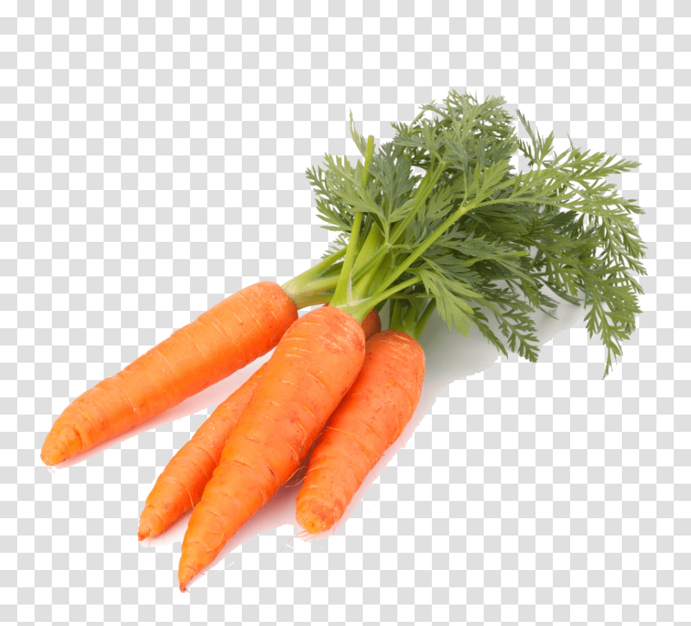 Download Carrot Image Roots That We Eat, Plant, Vegetable, Food, Hot Dog Transparent Png