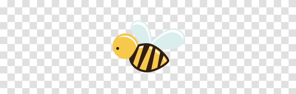 Download Cartoon Bee Clipart Bee Insect, Invertebrate, Animal, Tape, Honey Bee Transparent Png