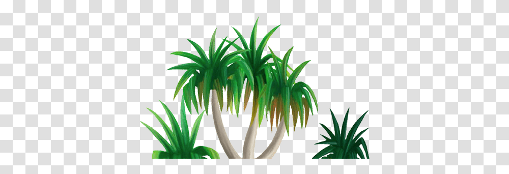 Download Cartoon Drawing Of Tropical Tree Grass Image Grass, Plant, Produce, Food, Flower Transparent Png