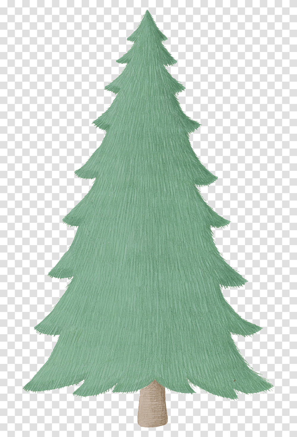 Download Cartoon Pine Tree Images December 2020 Calendar Christmas, Plant, Ornament, Christmas Tree, Hip Transparent Png