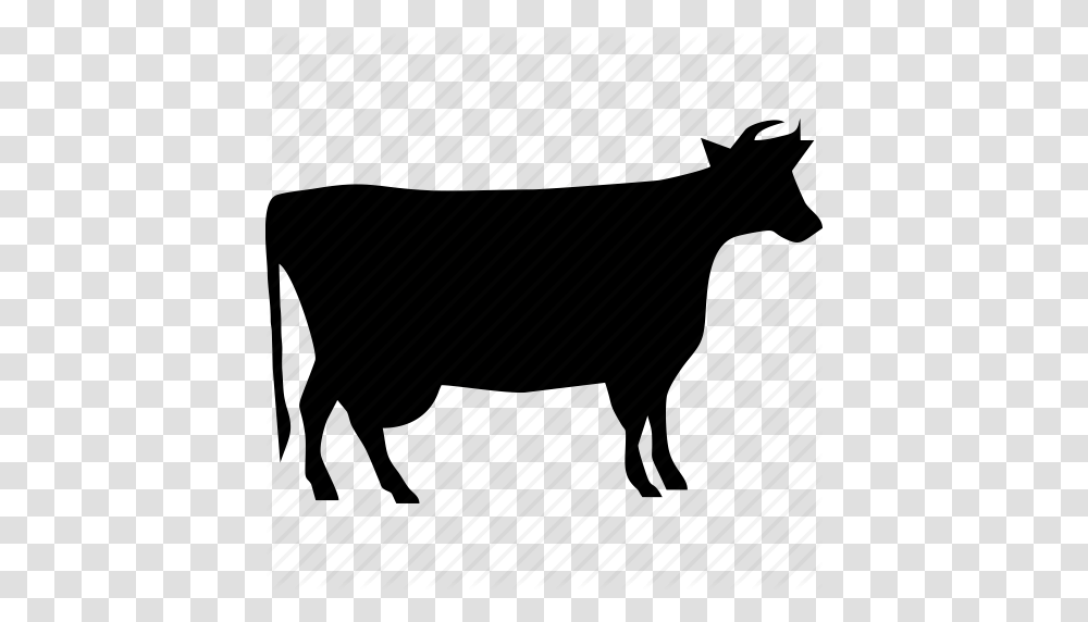Download Cattle Vaccination Icon Clipart Beef Cattle Injection, Bull, Mammal, Animal, Piano Transparent Png