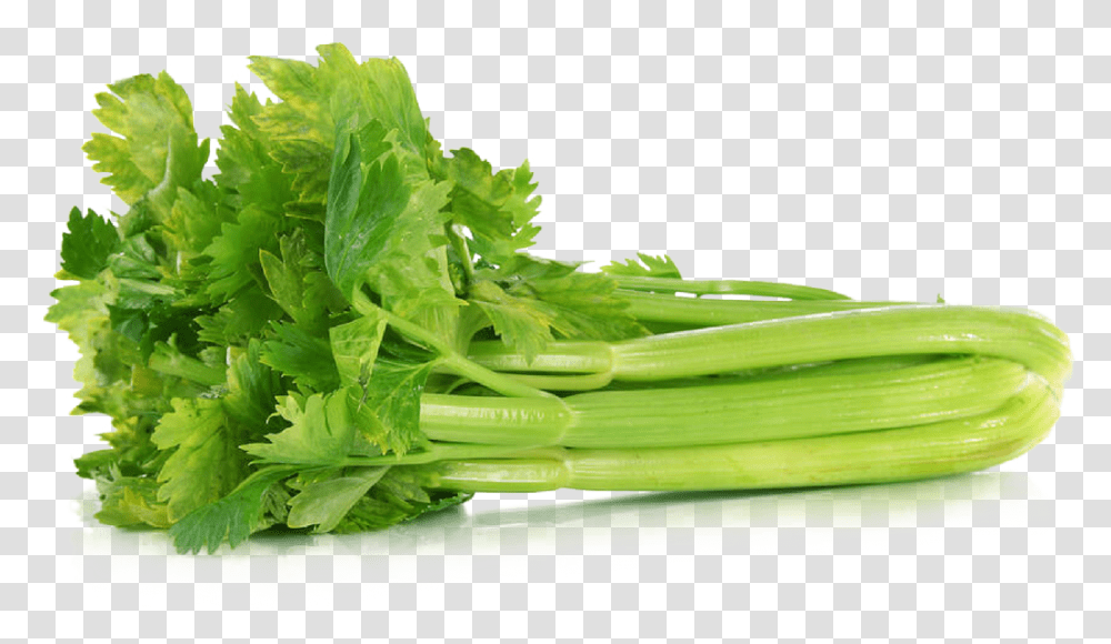 Download Celery File Celery Meaning In Hindi, Plant, Vegetable, Food, Produce Transparent Png