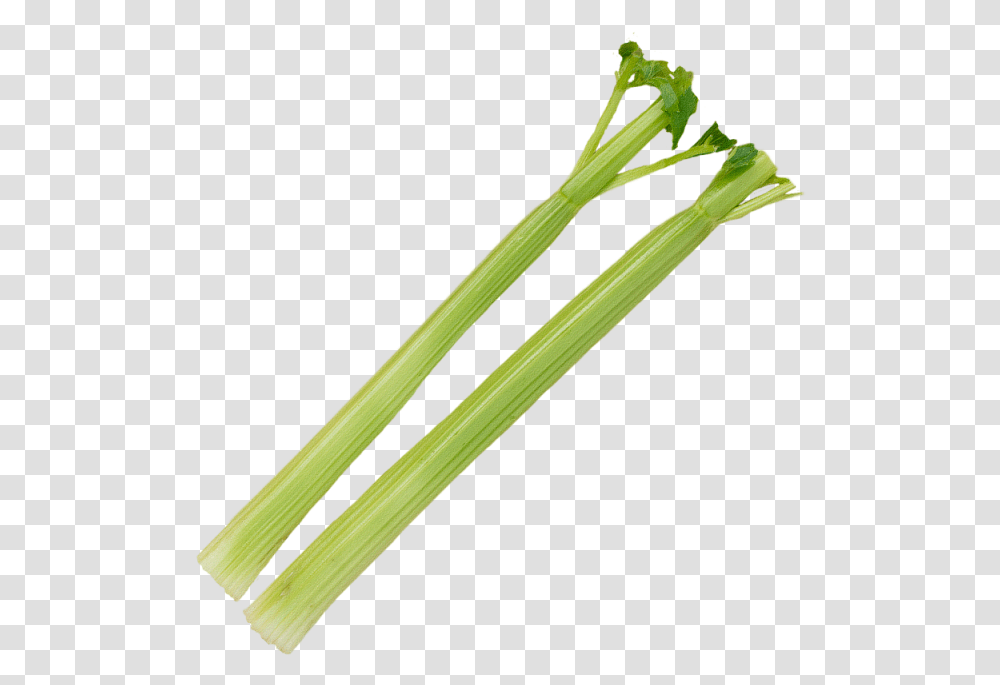 Download Celery Stick Leek, Plant, Produce, Food, Vegetable Transparent Png