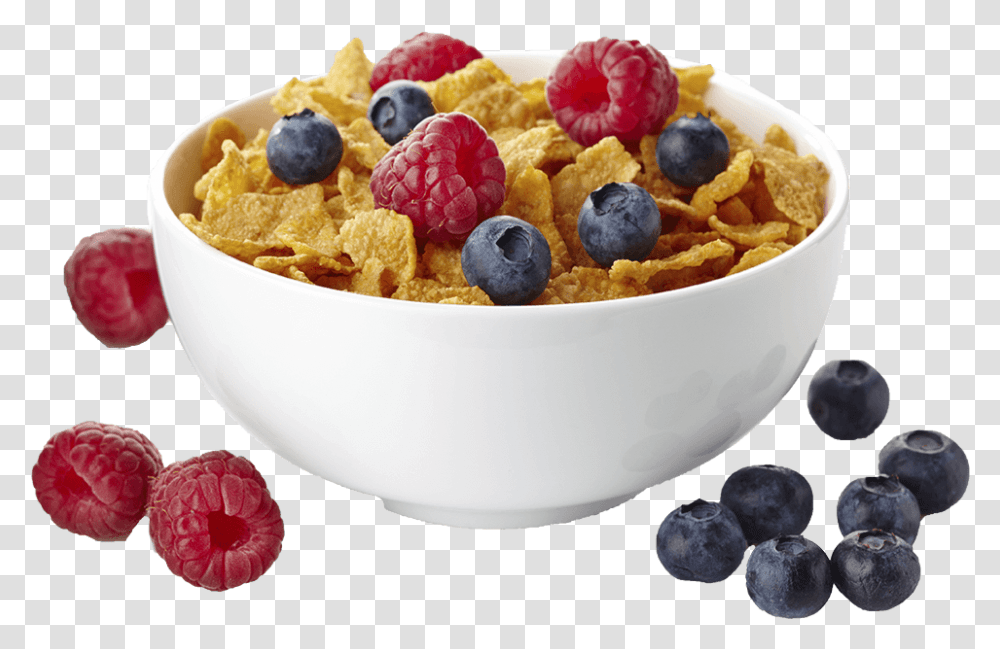 Download Cereal Photos Breakfast Cereal, Plant, Blueberry, Fruit, Food Transparent Png