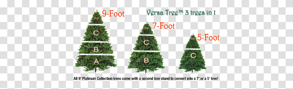 Download Charlie Brown Christmas Tree For Kids Christmas Tree, Plant, Ornament, Pine, Fir Transparent Png