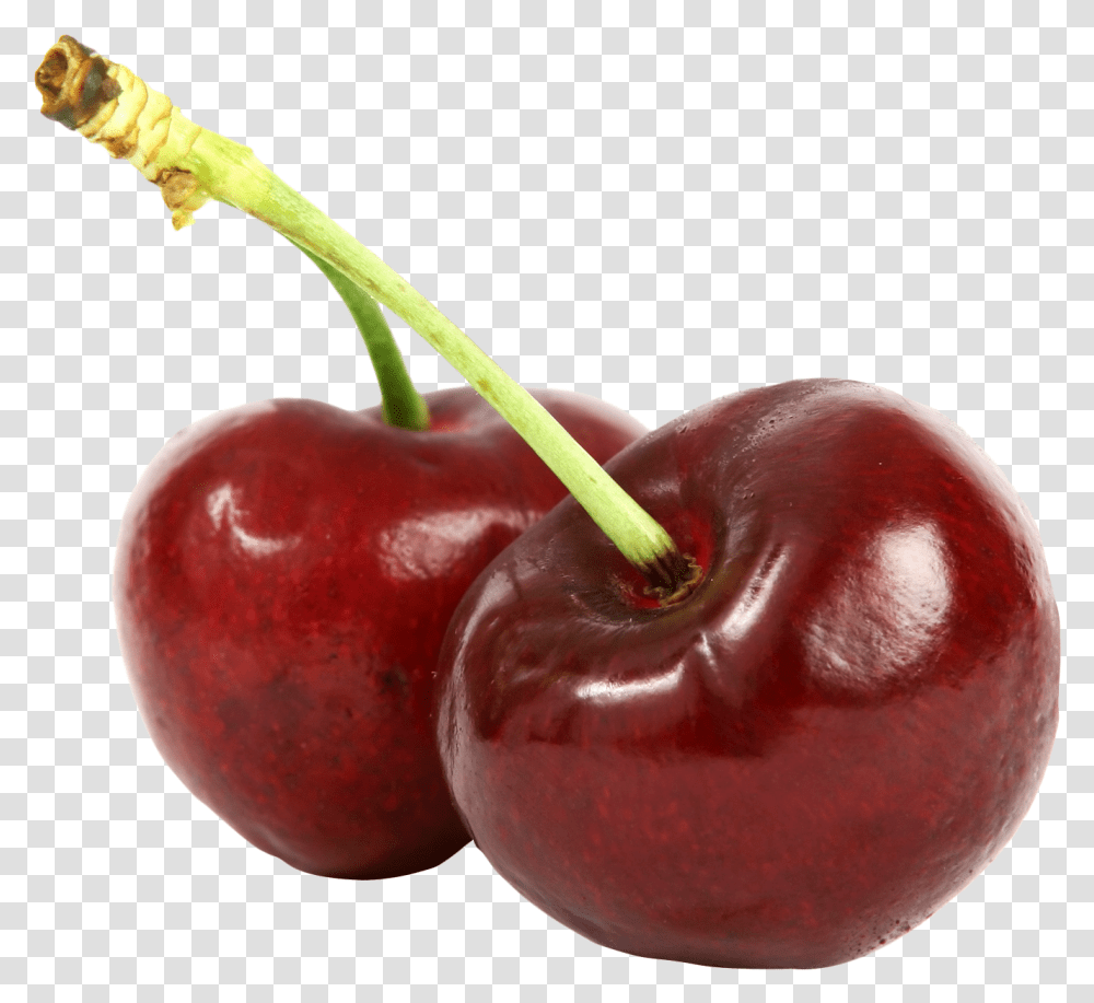 Download Cherries Image For Free Cherry, Plant, Fruit, Food, Apple Transparent Png