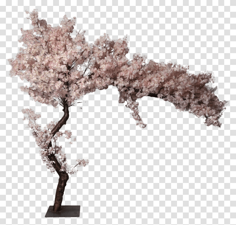 Download Cherry Blossom Artificial Tree 0 Cherry Blossom Sakura Artificial Tree, Plant, Flower, Fungus Transparent Png