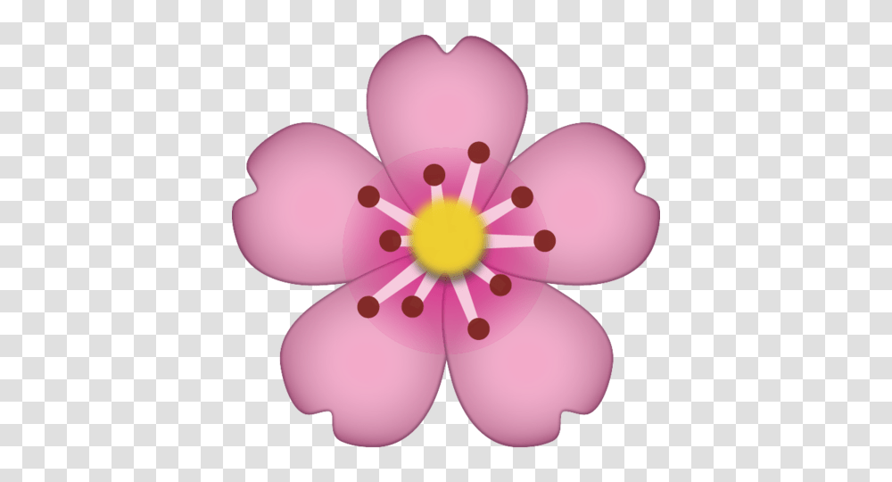 Download Cherry Blossom Emoji Icon Emoji Island, Plant, Flower, Petal, Balloon Transparent Png