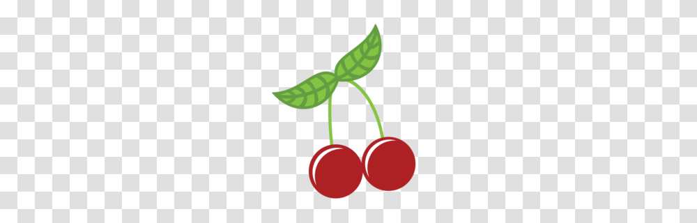 Download Cherry Clipart Cherry Pie Clip Art, Plant, Fruit, Food, Dynamite Transparent Png