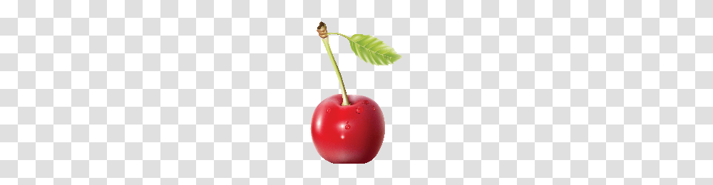 Download Cherry Free Photo Images And Clipart Freepngimg, Plant, Fruit, Food Transparent Png