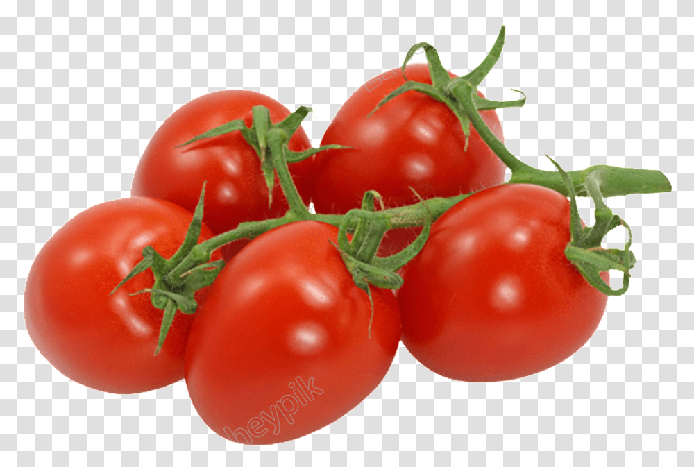 Download Cherry Tomatoes Cherry Tomato, Plant, Vegetable, Food Transparent Png