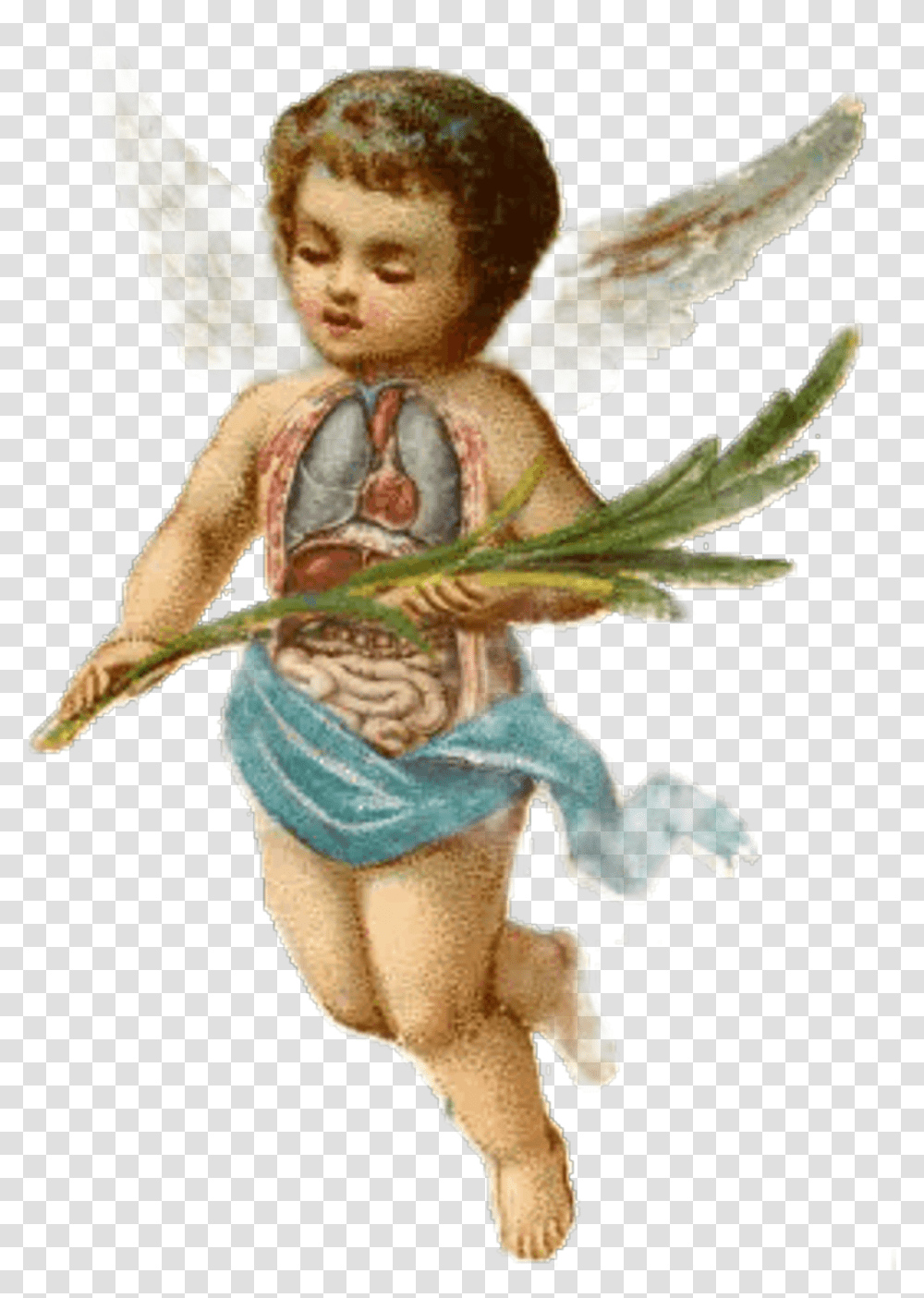 Download Cherub Sticker Baby Boy Angels Image With No Christmas Angel Illustration Vintage, Art, Archangel, Cupid, Person Transparent Png