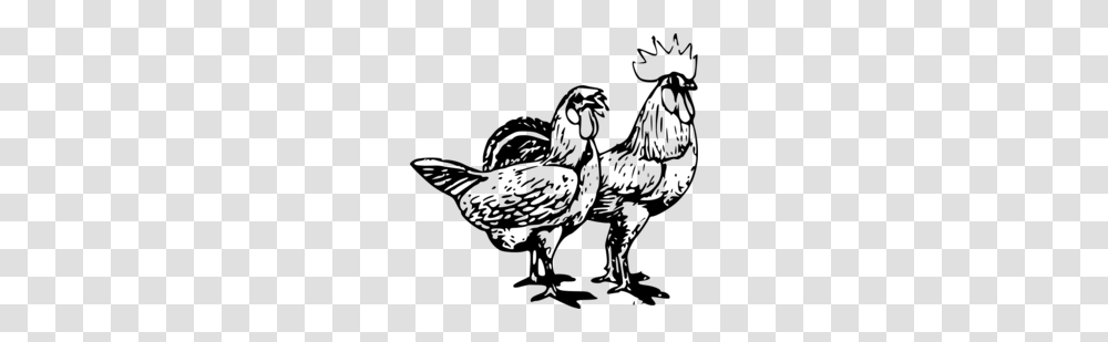 Download Chicken Clipart Chicken Rooster Clip Art, Gray, World Of Warcraft Transparent Png