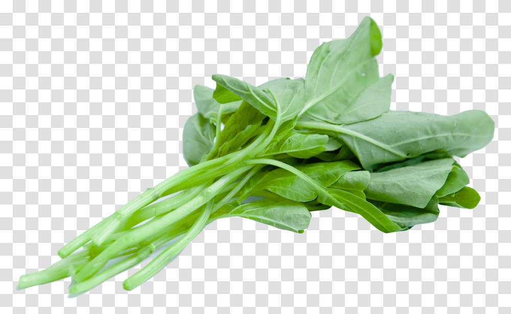 Download Chinese Spinach Image For Free Spinach, Plant, Produce, Food, Vegetable Transparent Png
