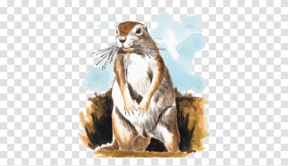 Download Chipmunk Mole Watercolor Painting Illustration Painting Of Ground Prairie Squirrel, Mammal, Animal, Art, Wildlife Transparent Png