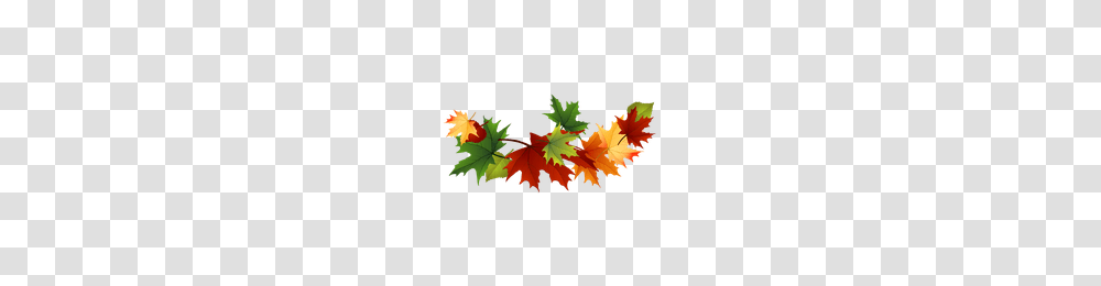 Download Chiu Free Icon And Clipart Freepngclipart, Leaf, Plant, Tree, Maple Leaf Transparent Png
