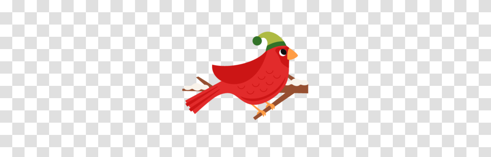 Download Christmas Bird Clipart Clip Art Christmas Bird Clip Art, Animal, Finch, Cardinal Transparent Png