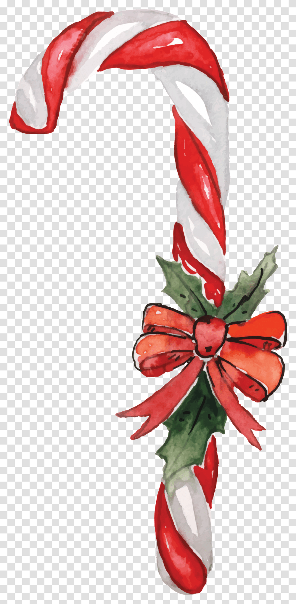 Download Christmas Candy Transparente Christmas Day For Holiday, Plant, Flower, Blossom, Bird Transparent Png