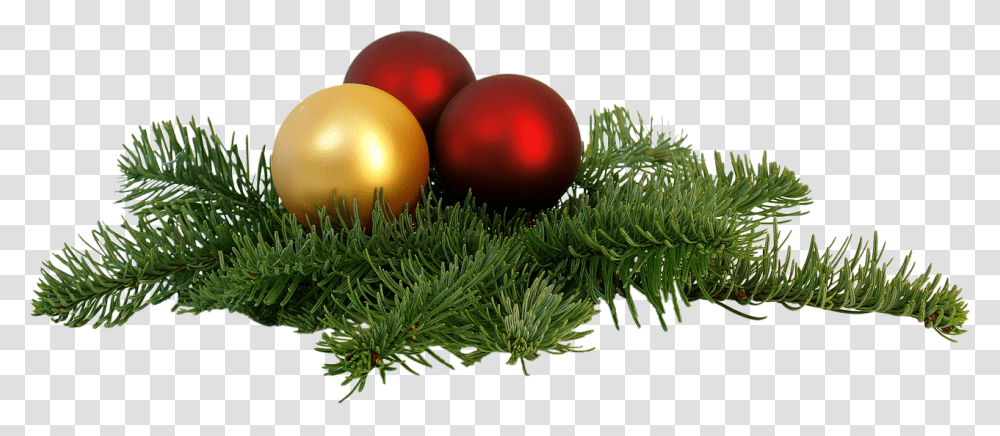 Download Christmas Decorations Corporate New Year Wishes To Clients, Sphere, Plant, Tree, Grass Transparent Png
